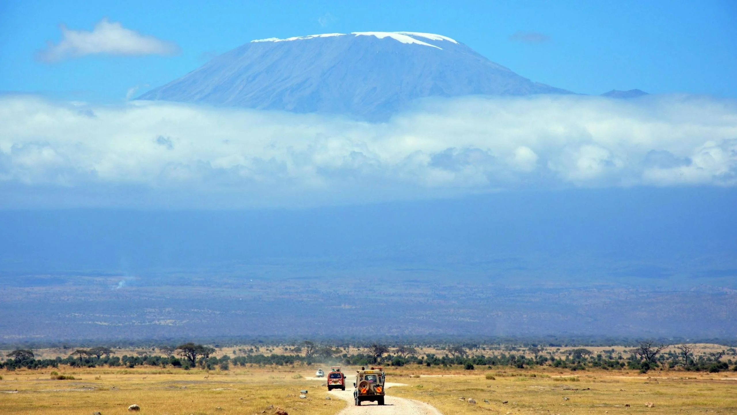 Tanzania Serengeti safari - Wildebeest migration and African wildlife landscape
